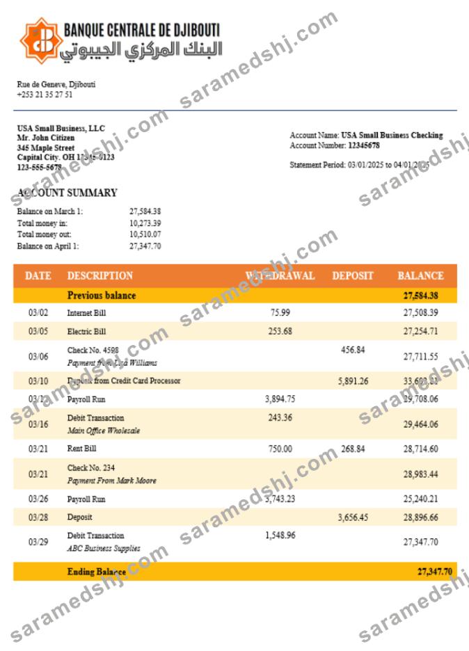 Central Bank of Djiboutian company checking account statement Word and PDF template